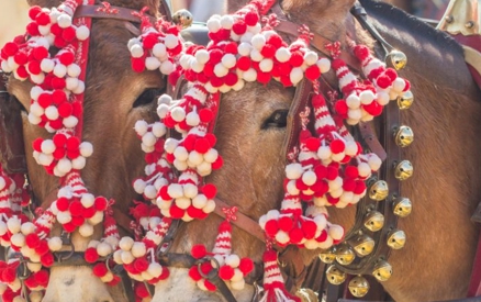 decorated horses at old spanish days santa barbara