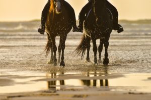 Horse riding on the beach at sunset.